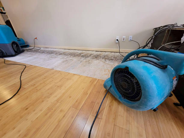 Professional Basement Flood Cleanup technician working in Grover, NC